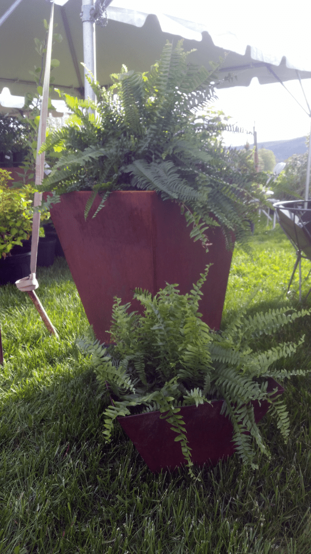 Plant Pot Trade Secret